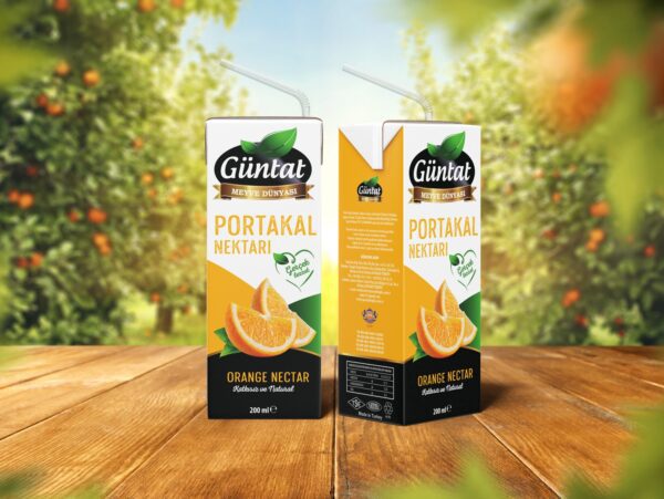 Portakal Nektarı 200 ML